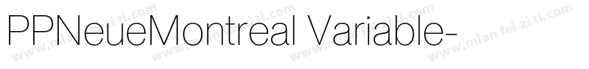 PPNeueMontreal Variable字体转换